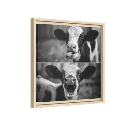 Whimsical Cow Photography | Black and White Animal Art