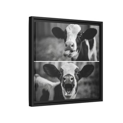 Whimsical Cow Photography | Black and White Animal Art