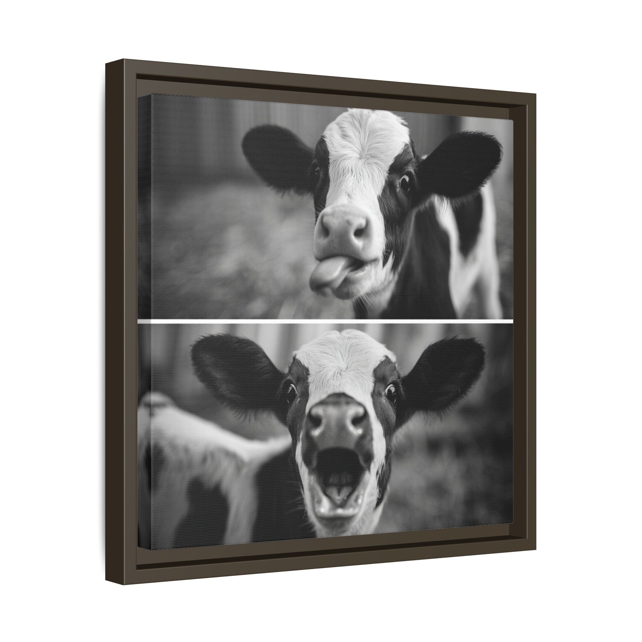 Whimsical Cow Photography | Black and White Animal Art