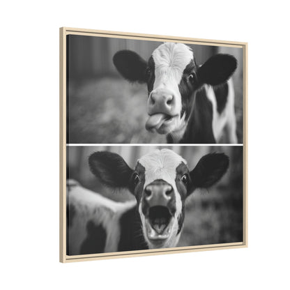Whimsical Cow Photography | Black and White Animal Art