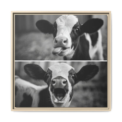 Whimsical Cow Photography | Black and White Animal Art