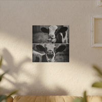 Whimsical Cow Photography | Black and White Animal Art