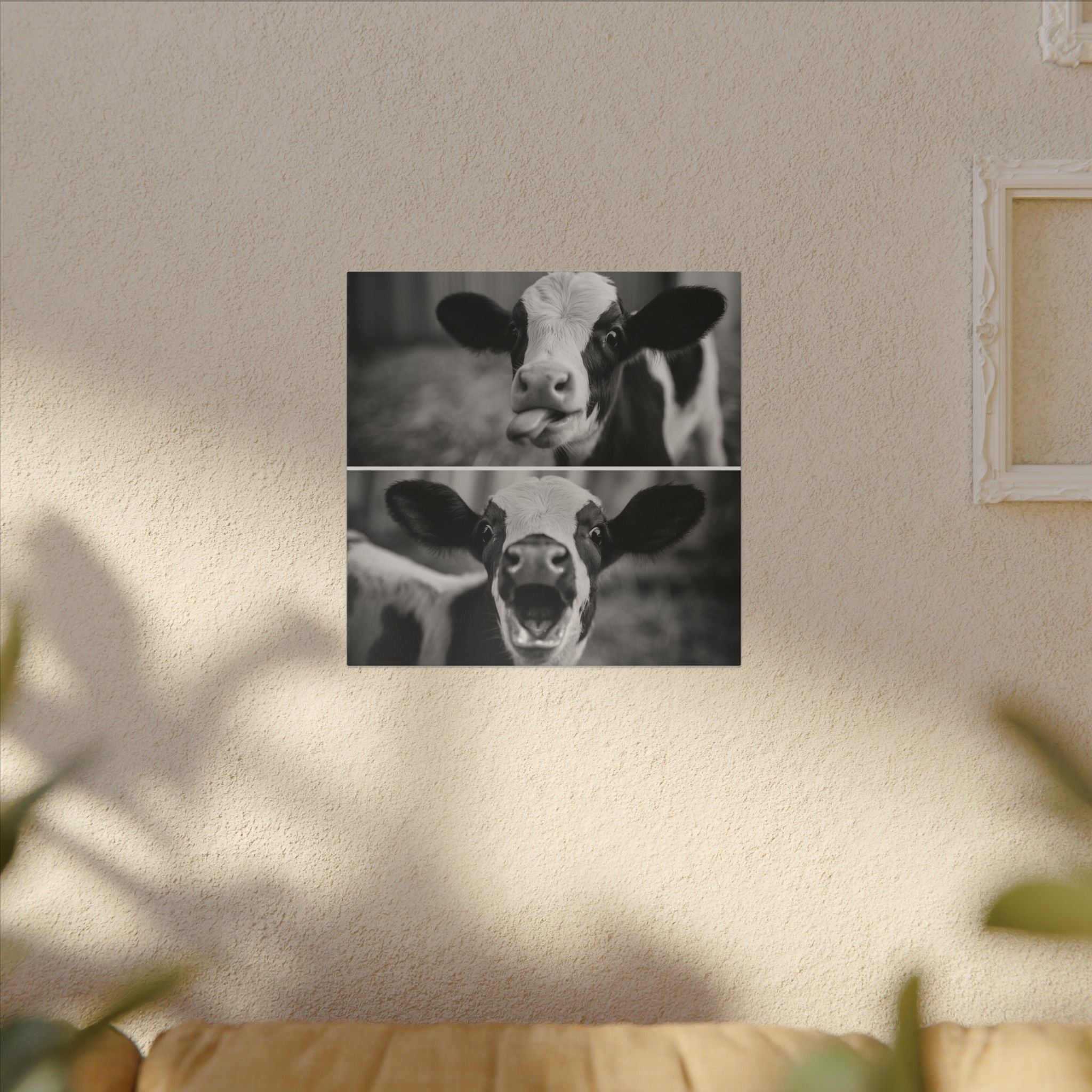 Whimsical Cow Photography | Black and White Animal Art
