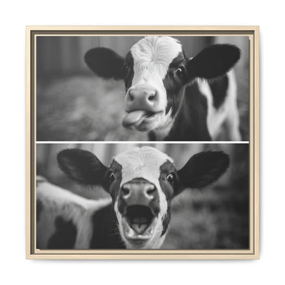 Whimsical Cow Photography | Black and White Animal Art