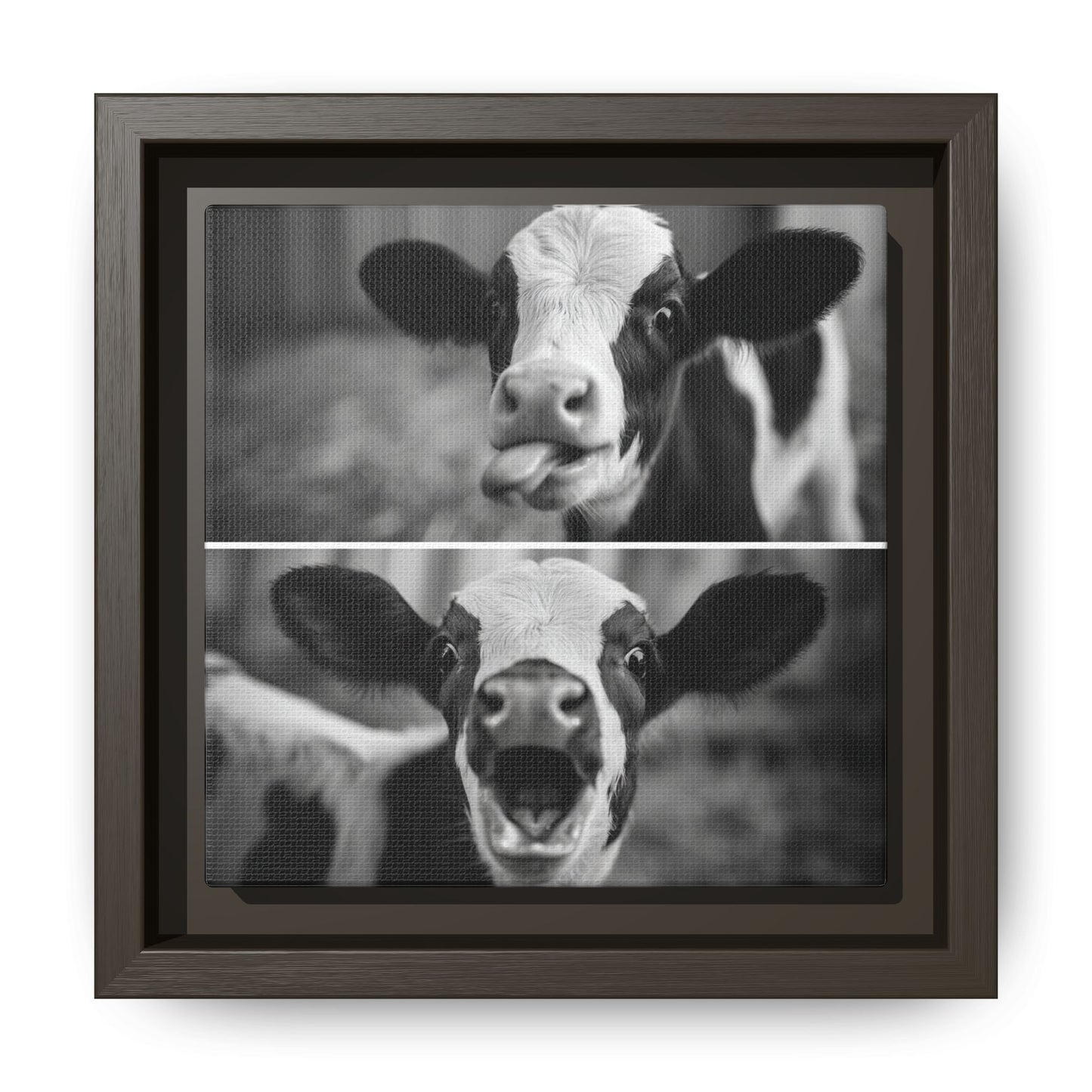 Whimsical Cow Photography | Black and White Animal Art