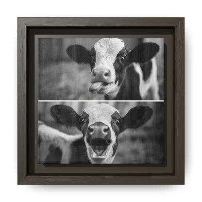 Whimsical Cow Photography | Black and White Animal Art