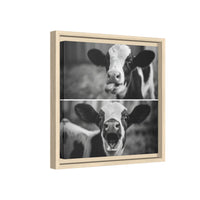 Whimsical Cow Photography | Black and White Animal Art