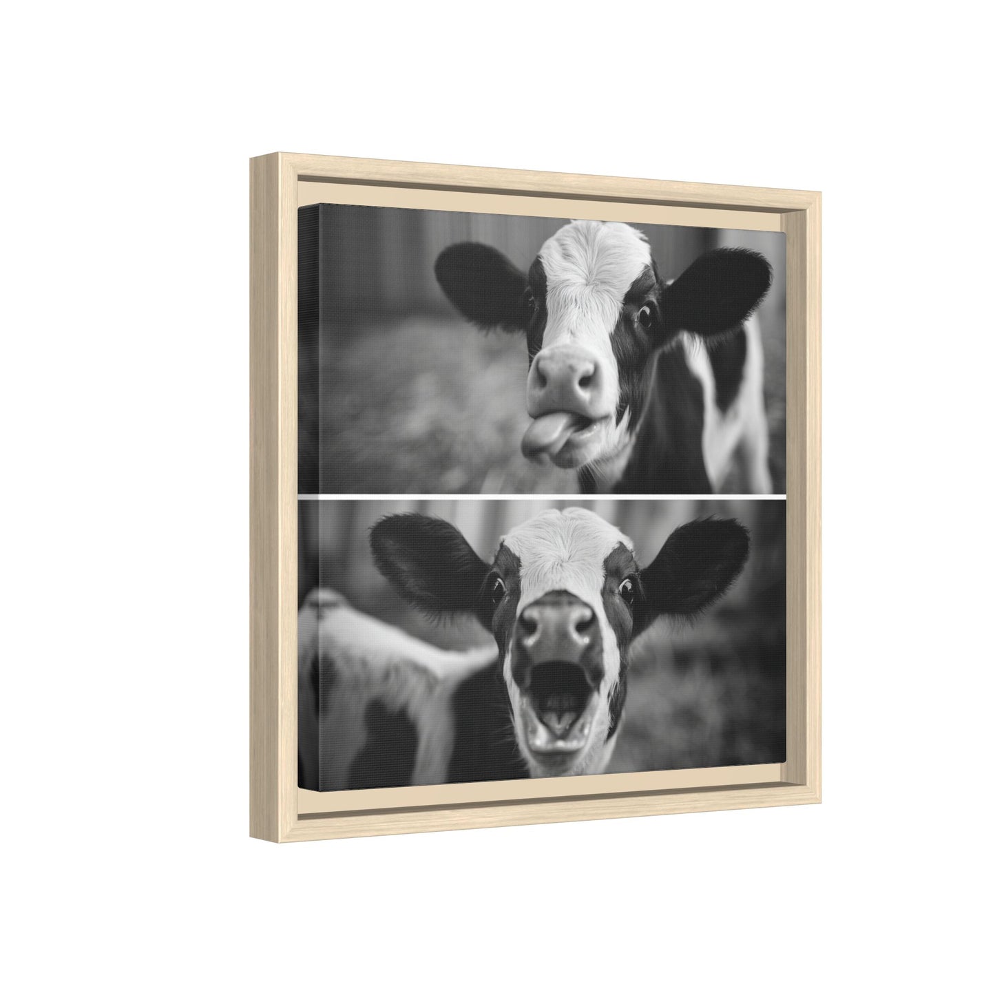 Whimsical Cow Photography | Black and White Animal Art