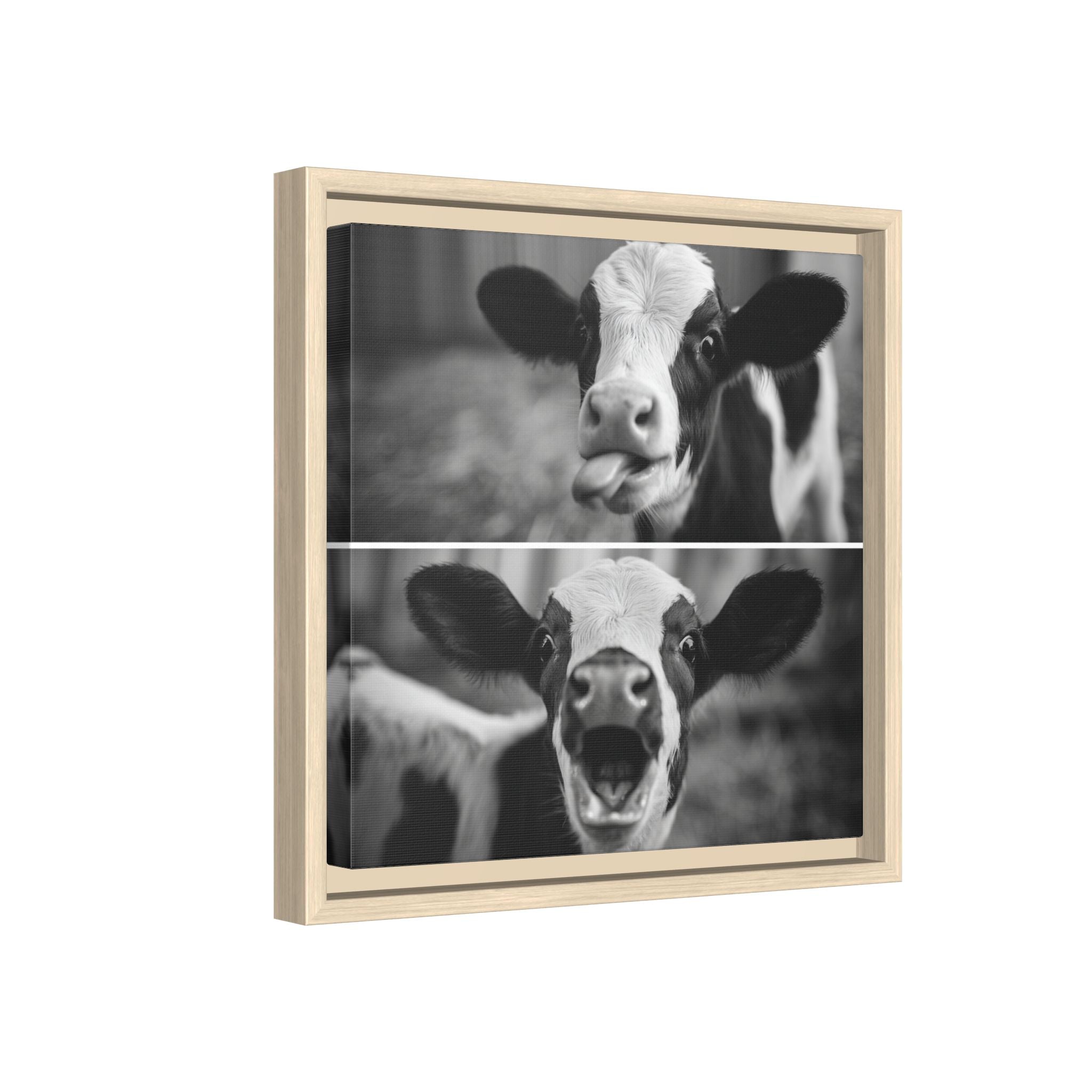 Whimsical Cow Photography | Black and White Animal Art
