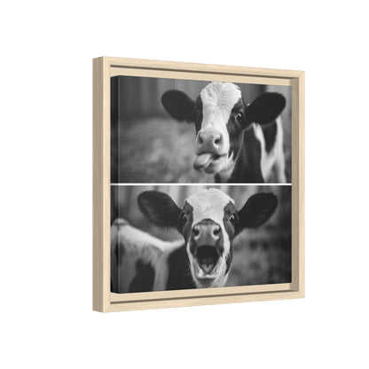 Whimsical Cow Photography | Black and White Animal Art