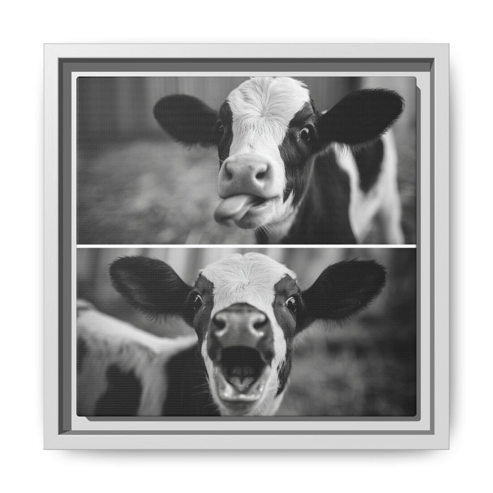 Whimsical Cow Photography | Black and White Animal Art