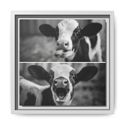 Whimsical Cow Photography | Black and White Animal Art