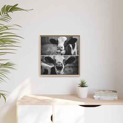 Whimsical Cow Photography | Black and White Animal Art