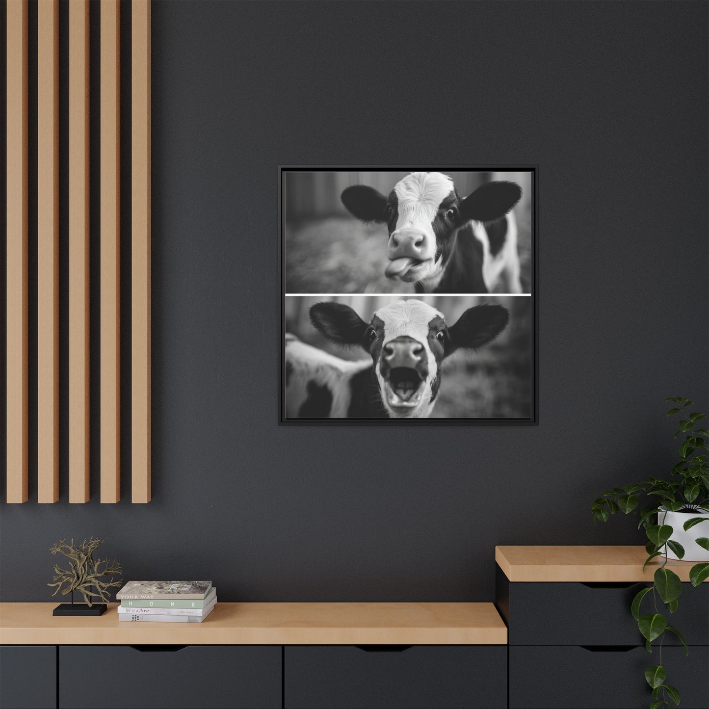 Whimsical Cow Photography | Black and White Animal Art