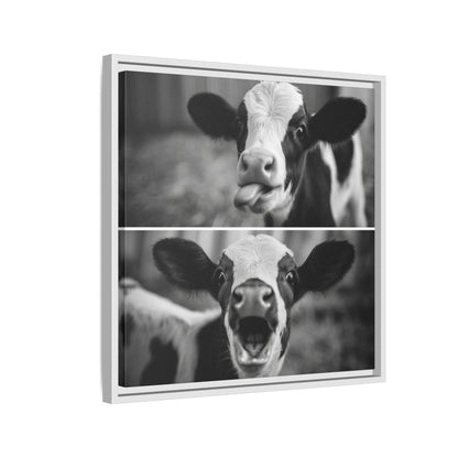 Whimsical Cow Photography | Black and White Animal Art