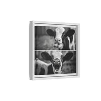Whimsical Cow Photography | Black and White Animal Art