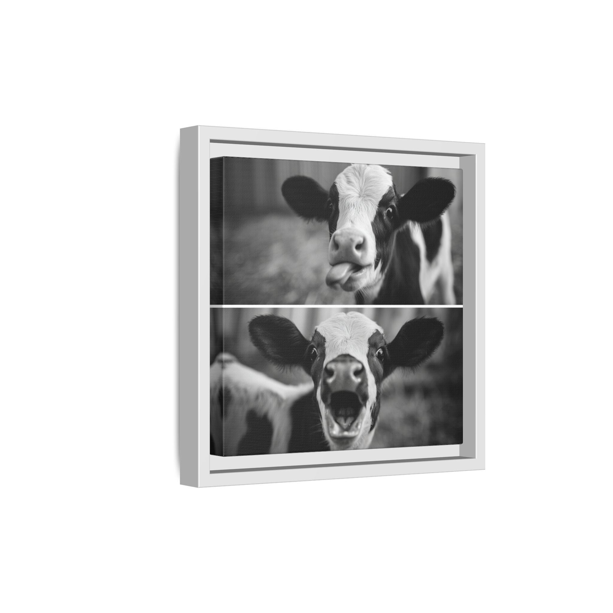 Whimsical Cow Photography | Black and White Animal Art