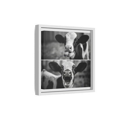 Whimsical Cow Photography | Black and White Animal Art