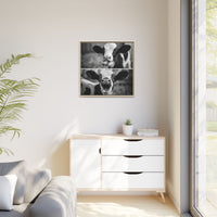Whimsical Cow Photography | Black and White Animal Art