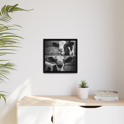 Whimsical Cow Photography | Black and White Animal Art