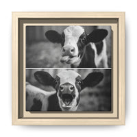 Whimsical Cow Photography | Black and White Animal Art