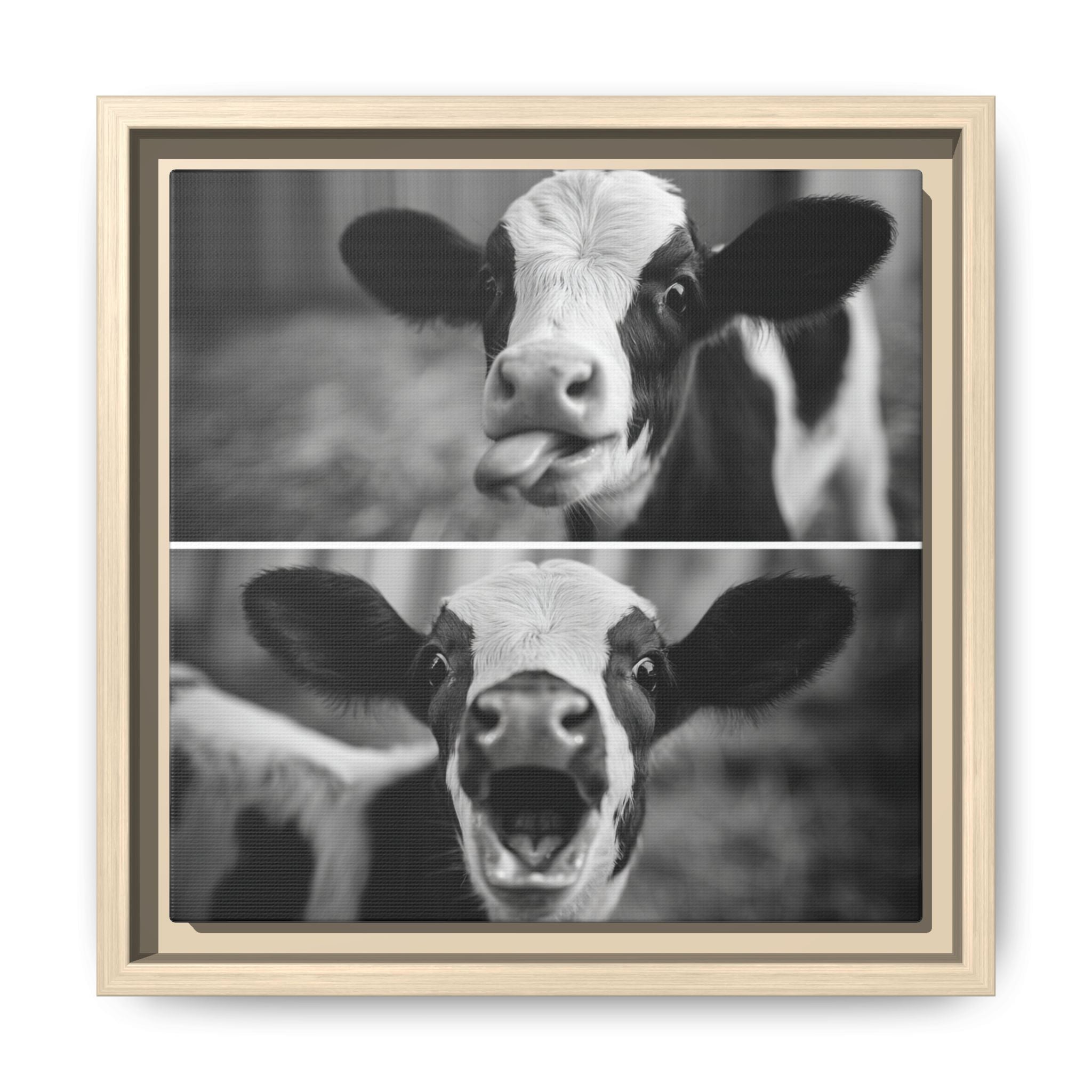 Whimsical Cow Photography | Black and White Animal Art