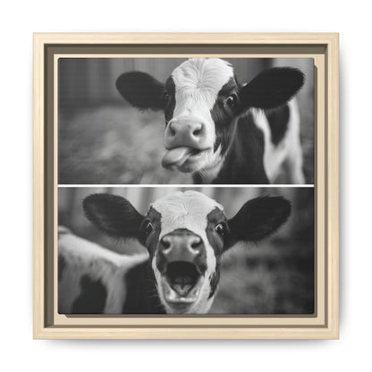 Whimsical Cow Photography | Black and White Animal Art