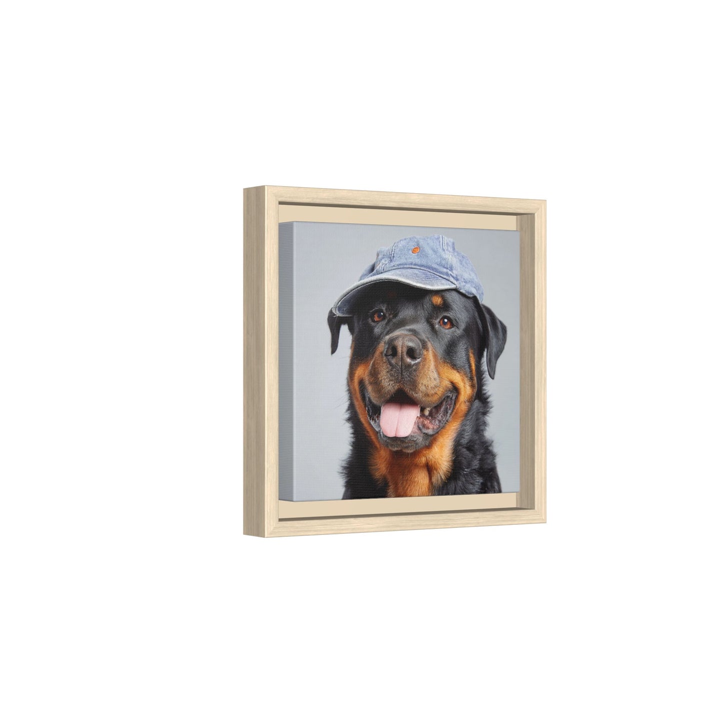 Whimsical Rottweiler Art - Denim Hat Dog Portrait