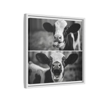 Whimsical Cow Photography | Black and White Animal Art