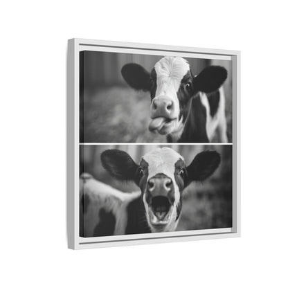 Whimsical Cow Photography | Black and White Animal Art
