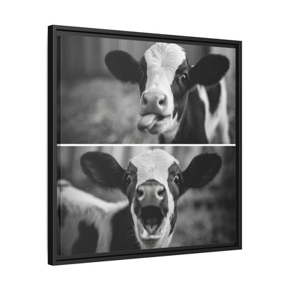 Whimsical Cow Photography | Black and White Animal Art