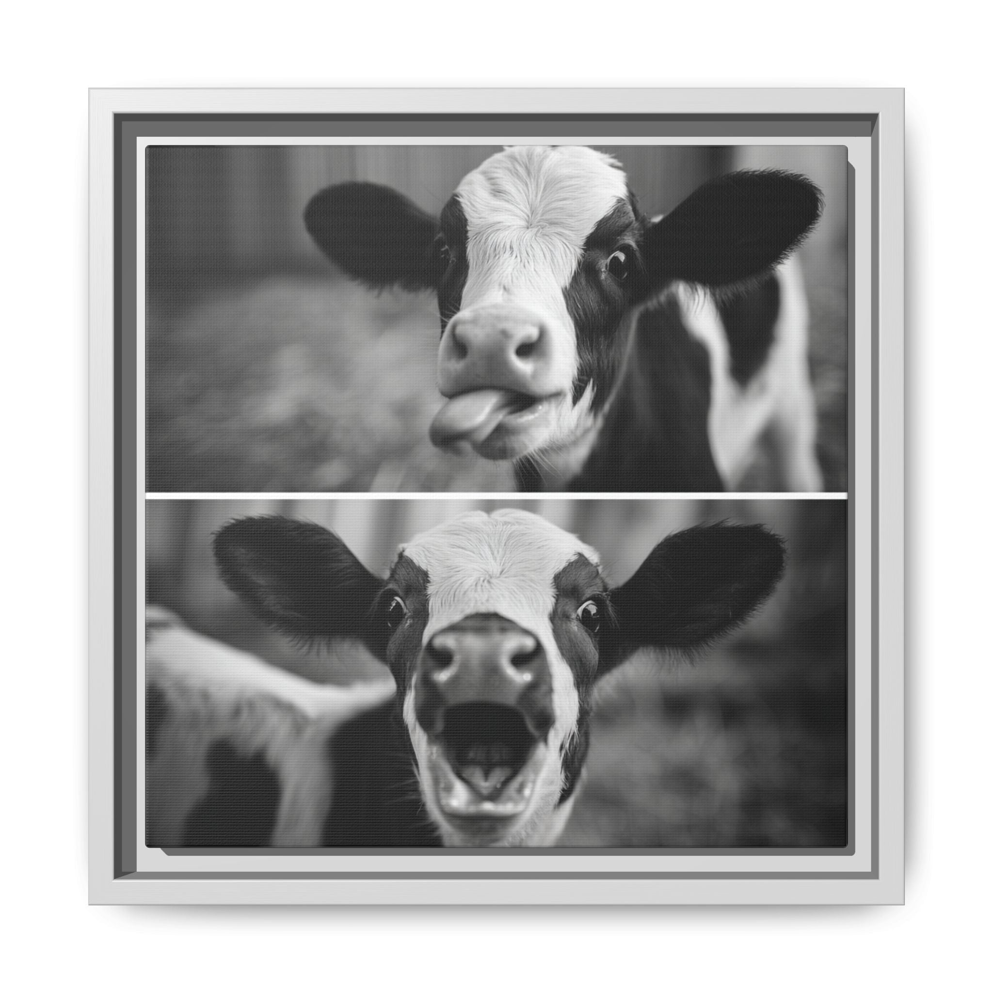 Whimsical Cow Photography | Black and White Animal Art