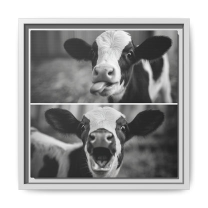 Whimsical Cow Photography | Black and White Animal Art