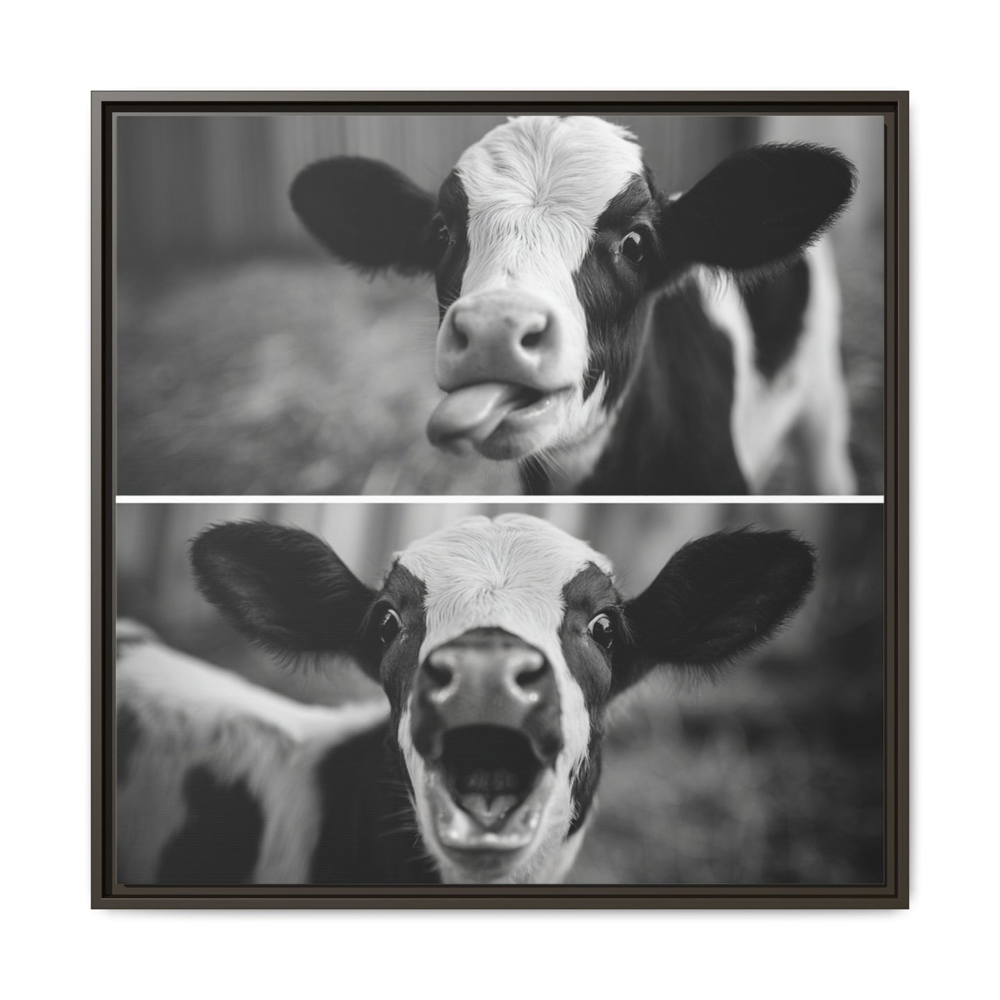 Whimsical Cow Photography | Black and White Animal Art