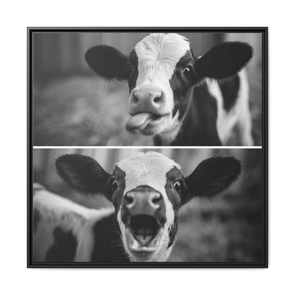 Whimsical Cow Photography | Black and White Animal Art