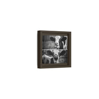 Whimsical Cow Photography | Black and White Animal Art