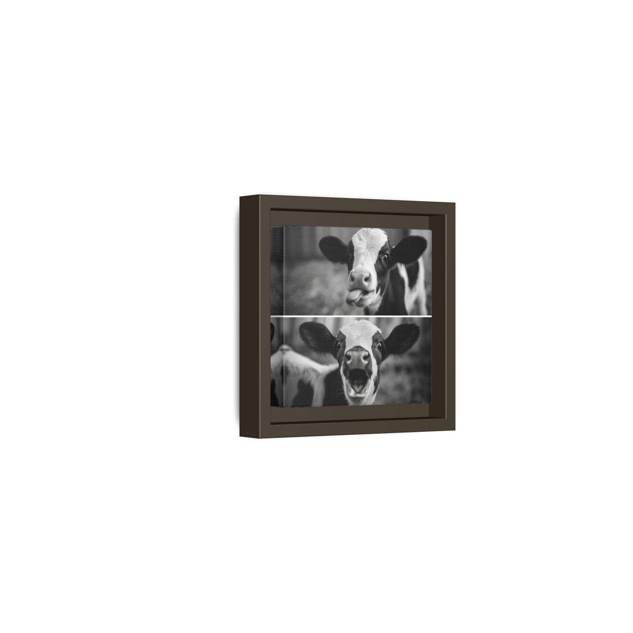 Whimsical Cow Photography | Black and White Animal Art