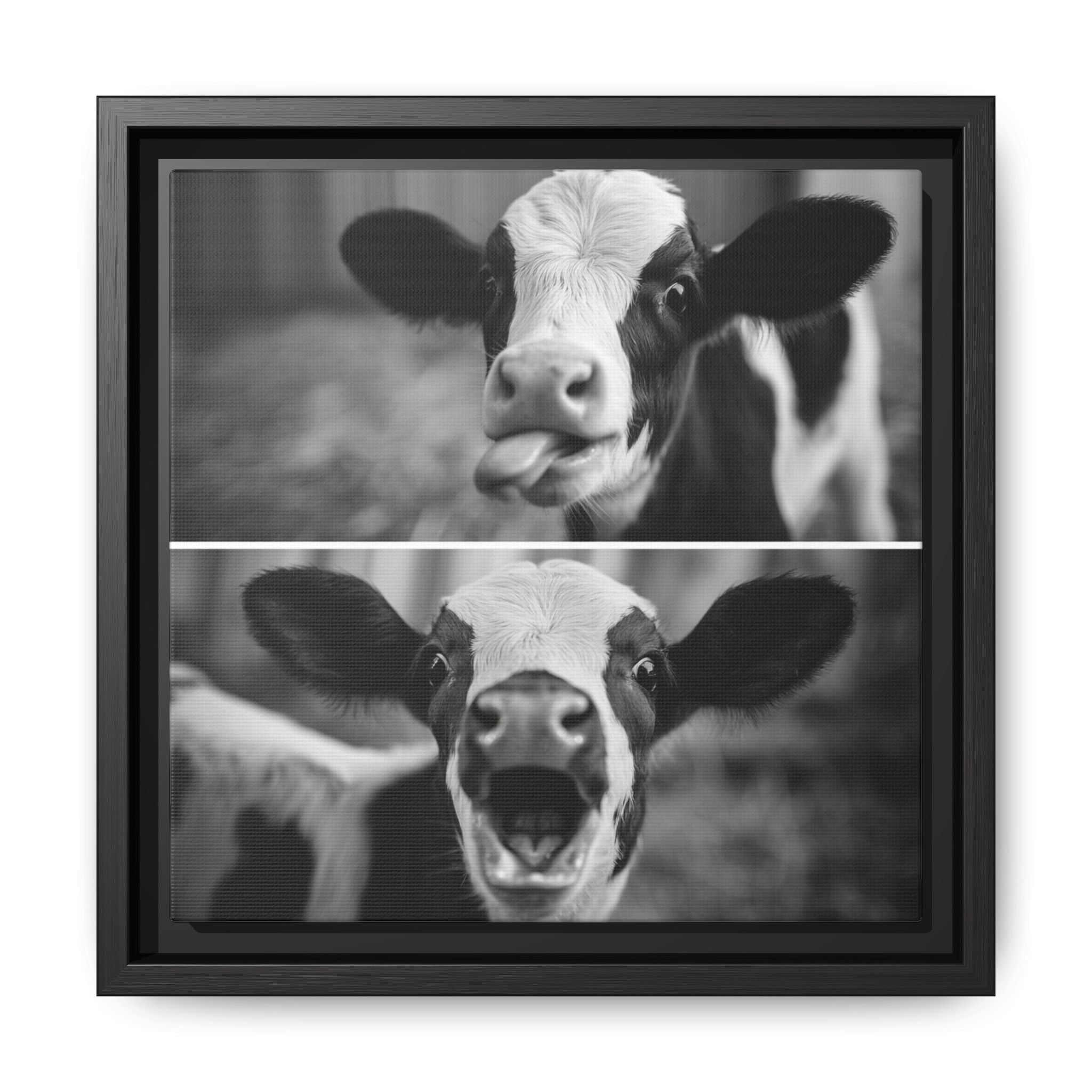 Whimsical Cow Photography | Black and White Animal Art