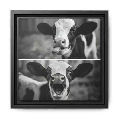 Whimsical Cow Photography | Black and White Animal Art