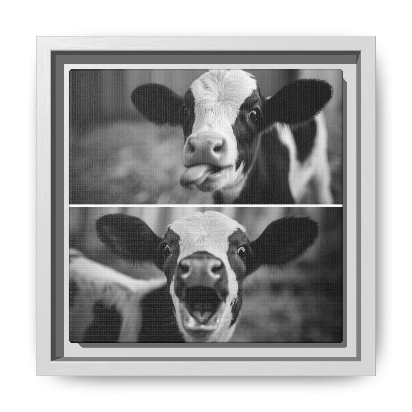 Whimsical Cow Photography | Black and White Animal Art