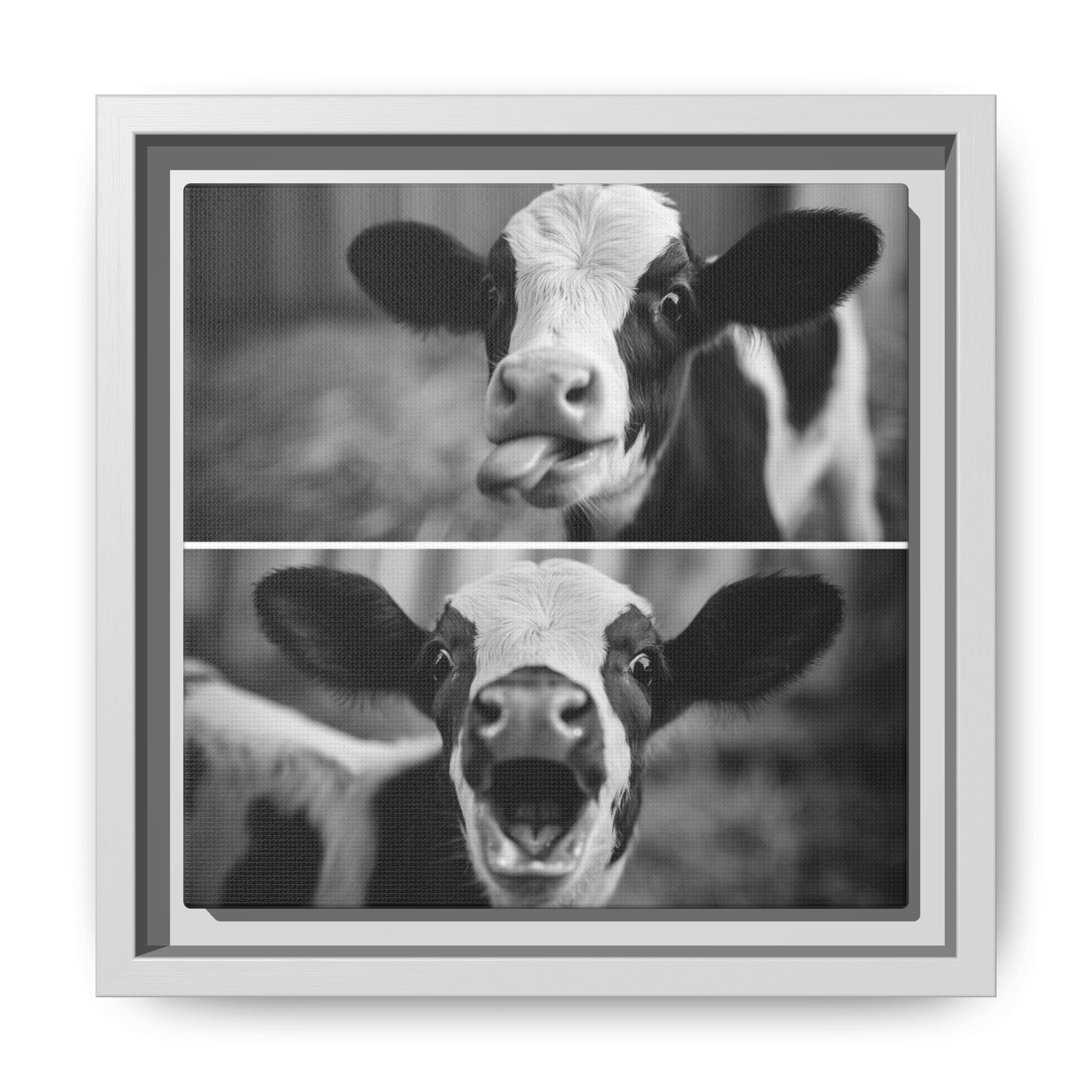 Whimsical Cow Photography | Black and White Animal Art
