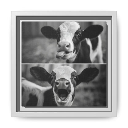 Whimsical Cow Photography | Black and White Animal Art