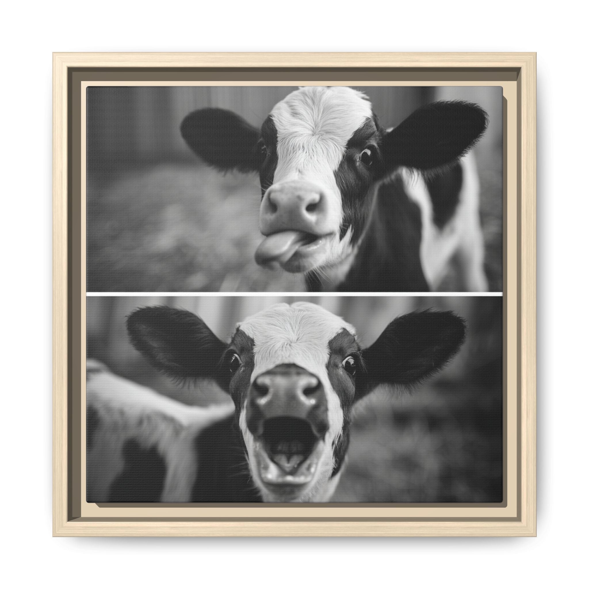 Whimsical Cow Photography | Black and White Animal Art