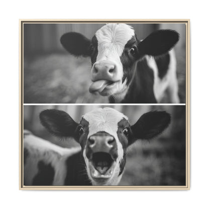 Whimsical Cow Photography | Black and White Animal Art