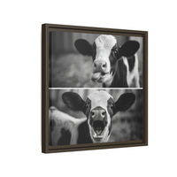 Whimsical Cow Photography | Black and White Animal Art