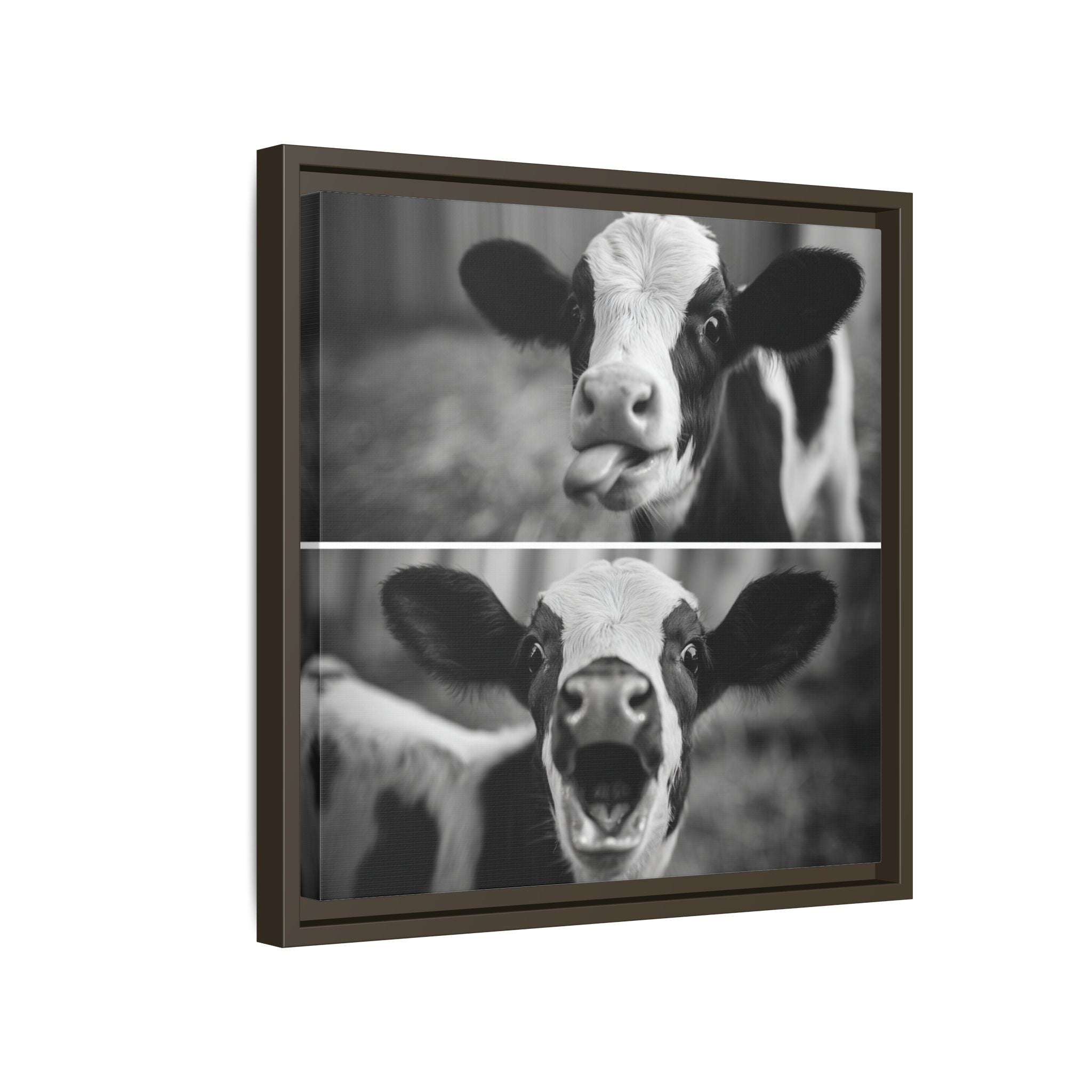 Whimsical Cow Photography | Black and White Animal Art