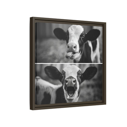 Whimsical Cow Photography | Black and White Animal Art