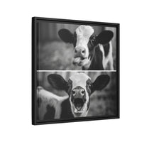 Whimsical Cow Photography | Black and White Animal Art