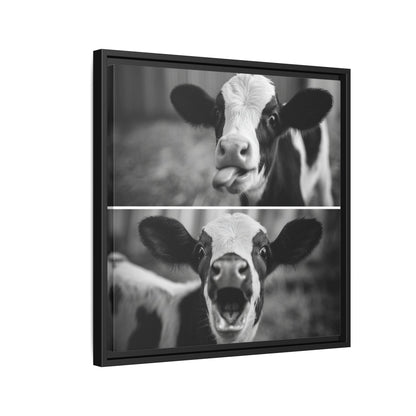 Whimsical Cow Photography | Black and White Animal Art