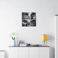 Whimsical Cow Photography | Black and White Animal Art